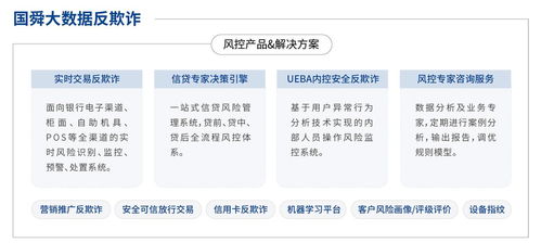 國舜股份 業務安全、安全開發與安全服務領域的卓越代表者，引領信息系統集成服務新篇章
